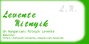 levente mitnyik business card